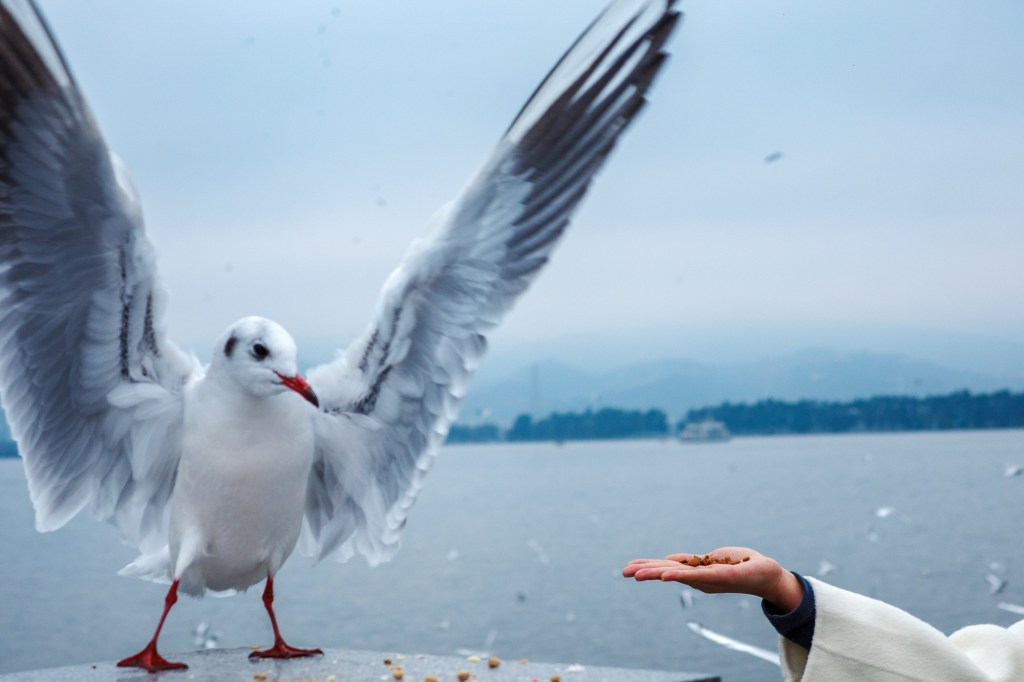 T4640 昆明.海埂大坝